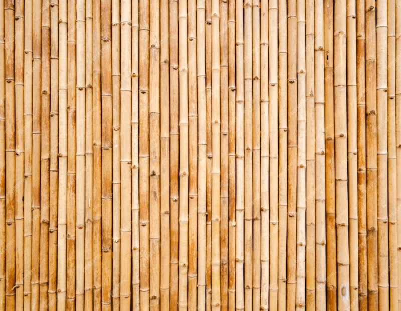 Bamboo .jpg
