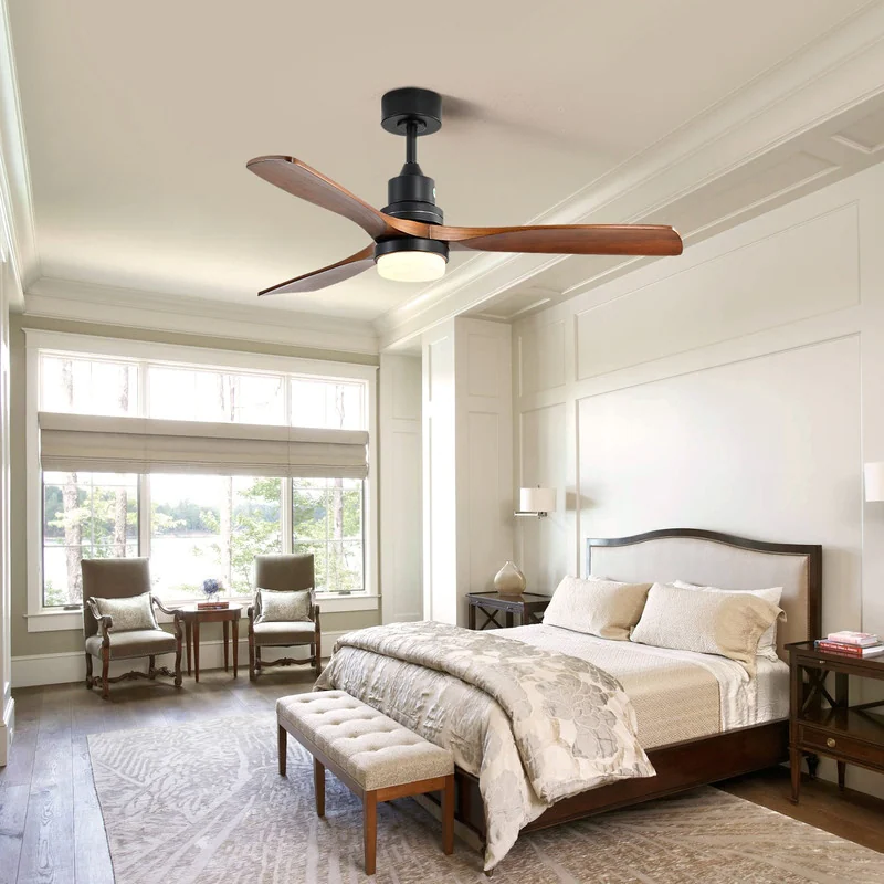 Ceiling Fan with a Light.jpg