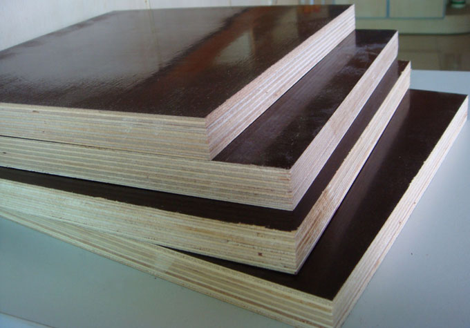 Construction Plywood