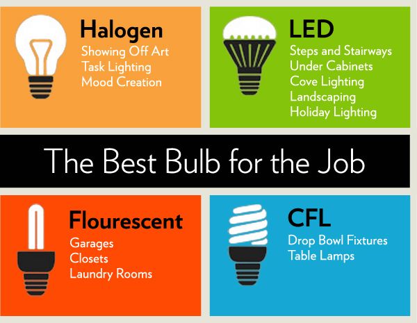 Energy Efficiency and Light Bulb Selection