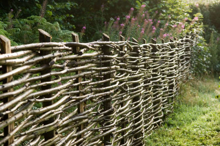 Hazel as Wattle Fence