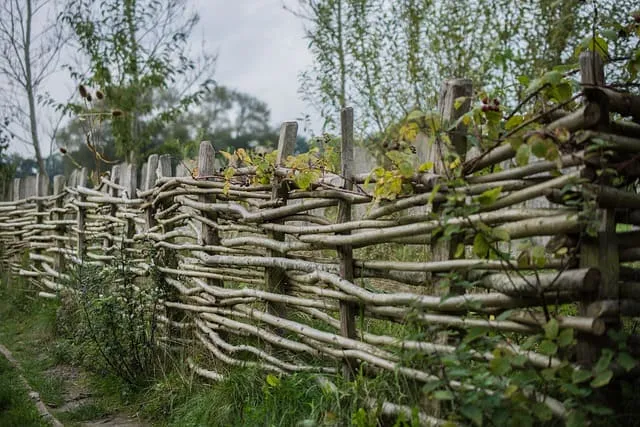 How to Preserve Your Wattle Fence? .jpg