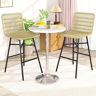 Recaceik Counter Height Bar Stool Set of 2