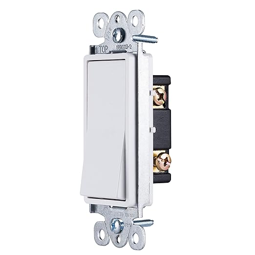 Rocker Switch or Decorative Switch