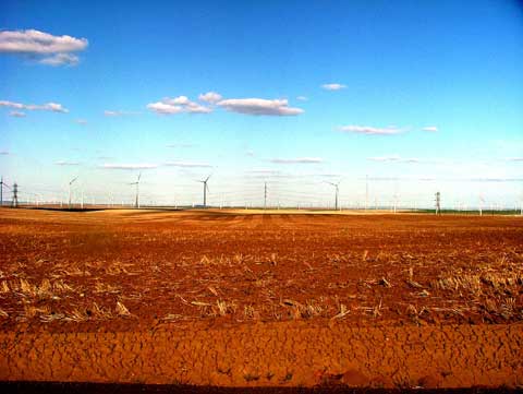 field