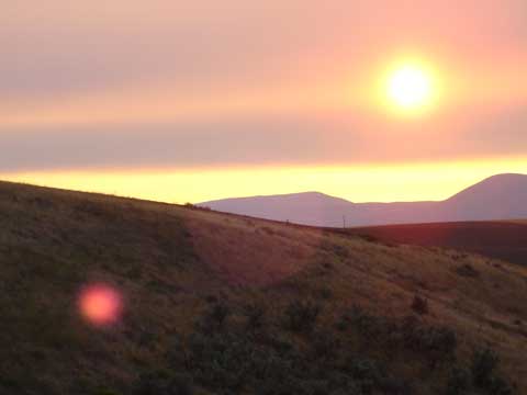 sunset