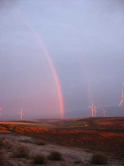 windmills