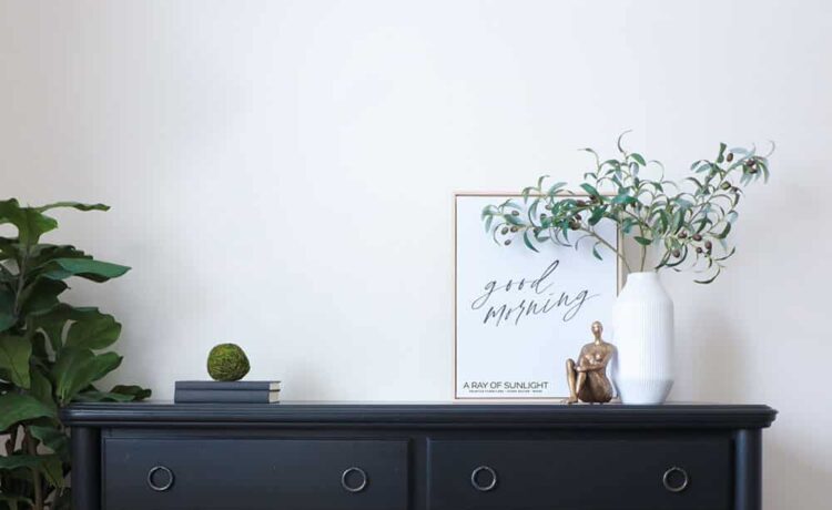 Easy Beginner's Guide: How to Paint Your Furniture Black