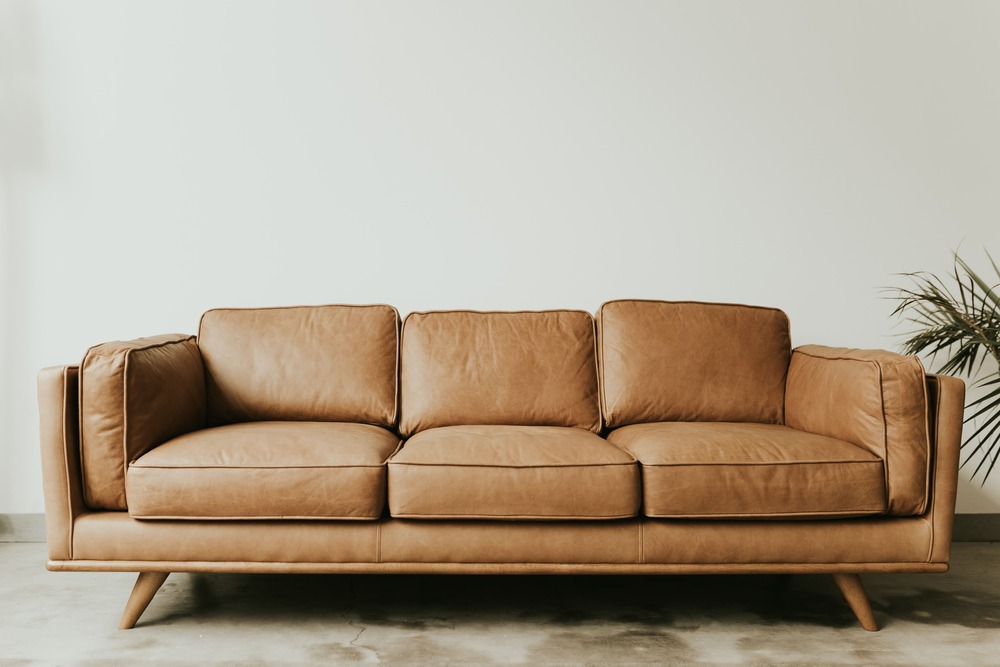 Types of Couches & Sofas Pictured So You Can Choose