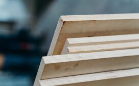 Types of Plywood: Grades & Prices for Your New Project