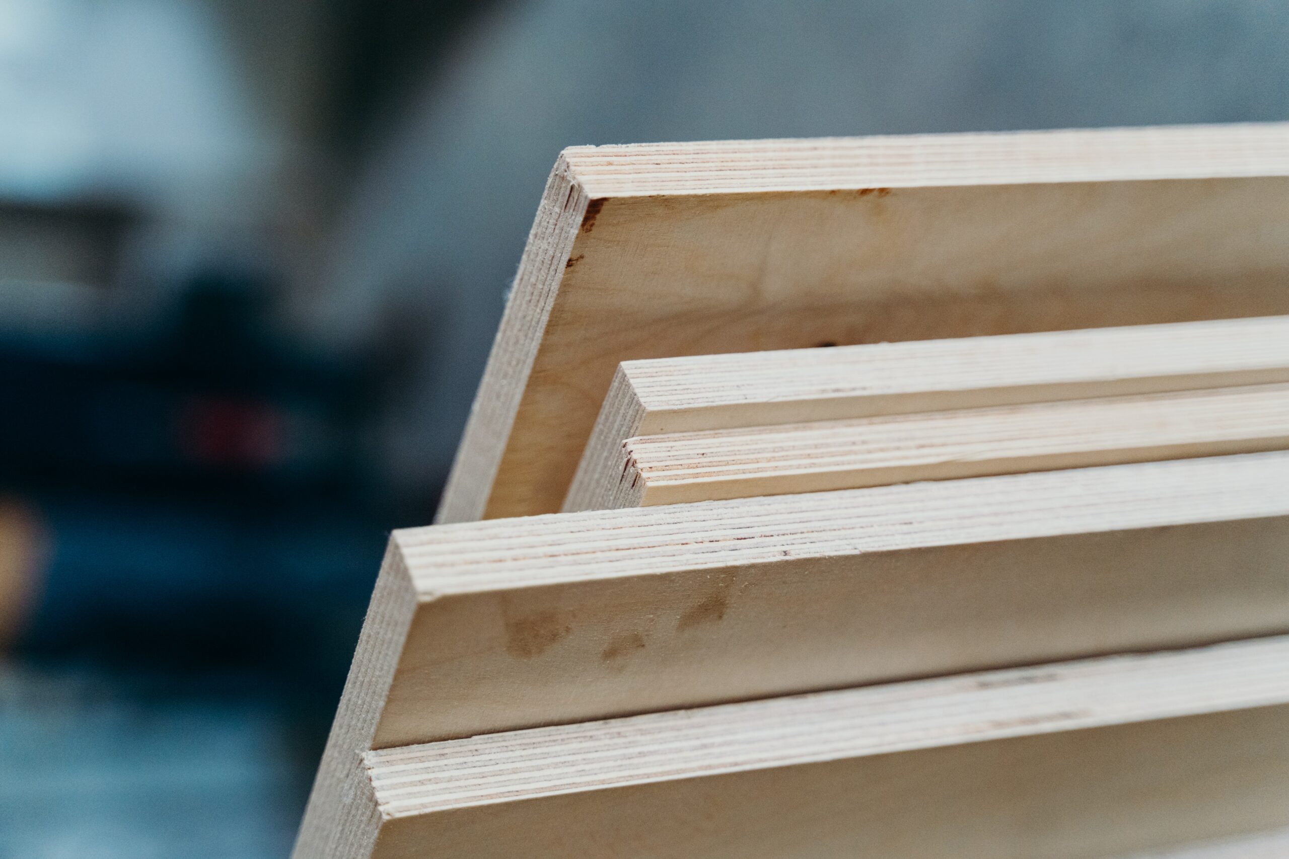 Types of Plywood: Grades & Prices for Your New Project