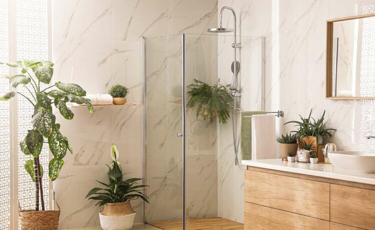 The Standard Shower Size for Your Bathroom Shape