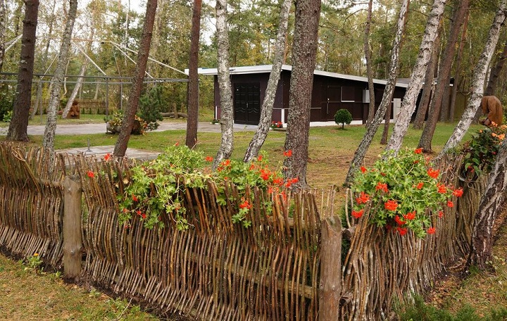 The DIY Wattle Fence Guide - How to Build & Preserve