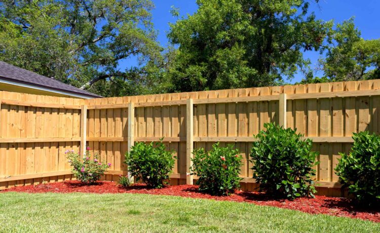 How To Stain A Fence (Quickly and Easily!)